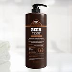 Dr.RAPHA-R Beer Yeast Anti-Hair Loss Shampoo 1L – German Beer Yeast, Micellar Deep Clean, Boosts Volume + Strength, Biotin & Amino Acid Rich, Low-Irritation pH Care _ Made in KOREA